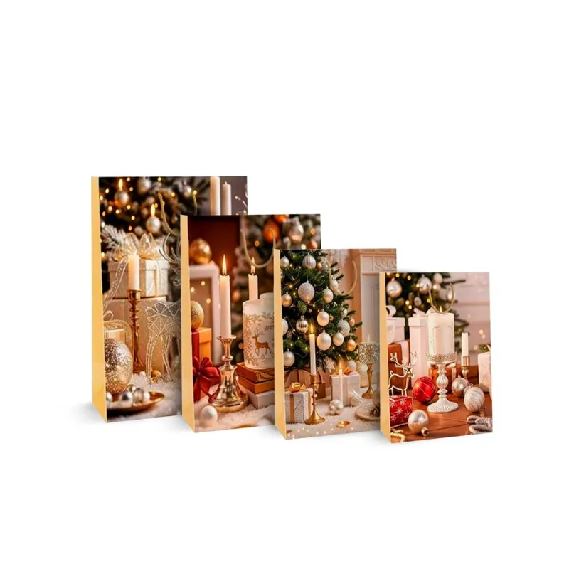 VN BOLSA DE REGALO DELGADA 35x12x9CM